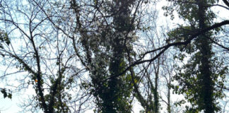 Crescere a contatto con la natura