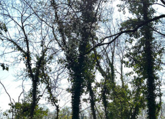 Crescere a contatto con la natura