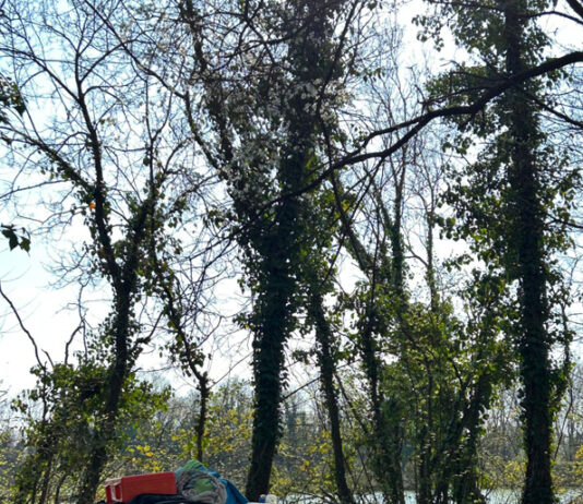 Crescere a contatto con la natura