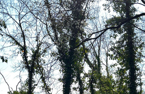 Crescere a contatto con la natura