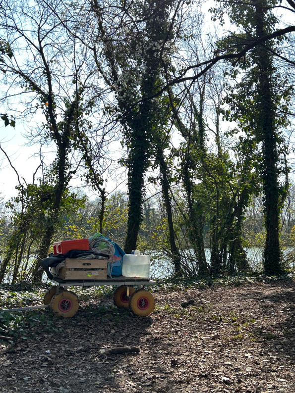 educare nel bosco preganziol