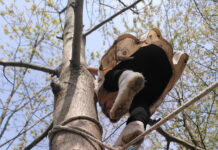 Fango, alberi e bambini felici