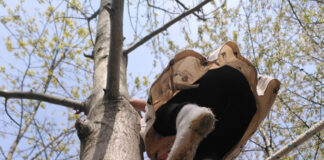 Fango, alberi e bambini felici