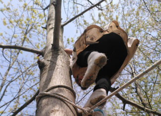 Fango, alberi e bambini felici