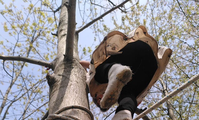 Fango, alberi e bambini felici