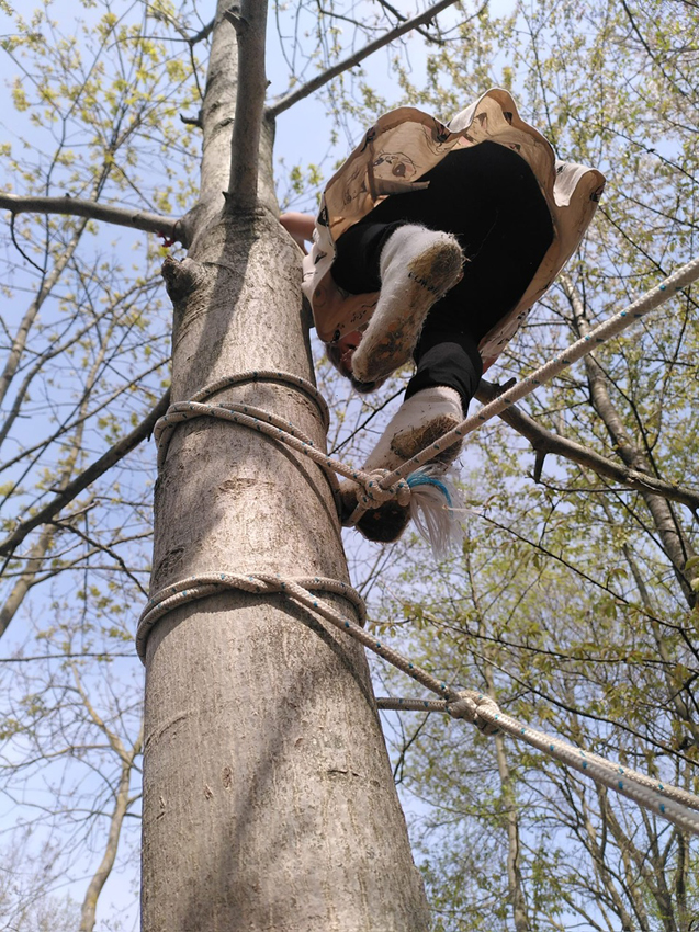 arrampicata