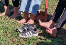 Silenzio, parla il Parco Ali Dorate
