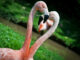 Parco Zoo Punta Verde di Lignano