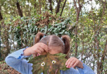 Piccoli passi, grandi scoperte