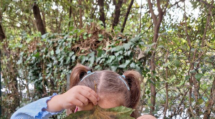 Piccoli passi, grandi scoperte