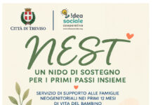 NEST