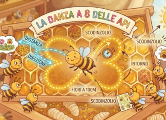 Scuola nel parco