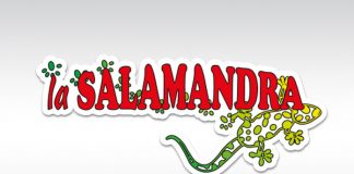 Archivio uscite “la Salamandra”