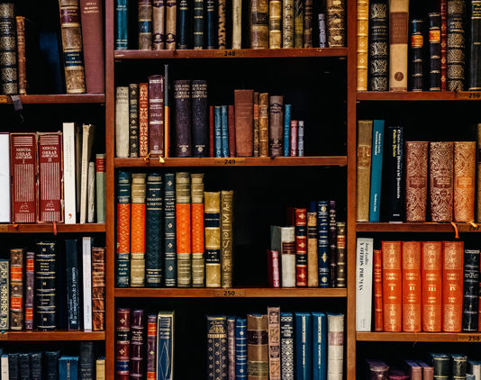 Lo straniero di Albert Camus