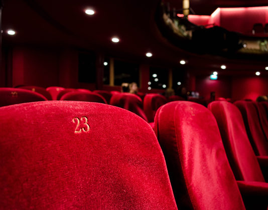 Intervista a Carlo Goldoni