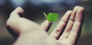 Admo Ricerca: donare midollo osseo e cellule staminali