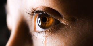 La società della violenza