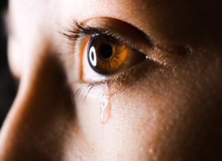 La società della violenza