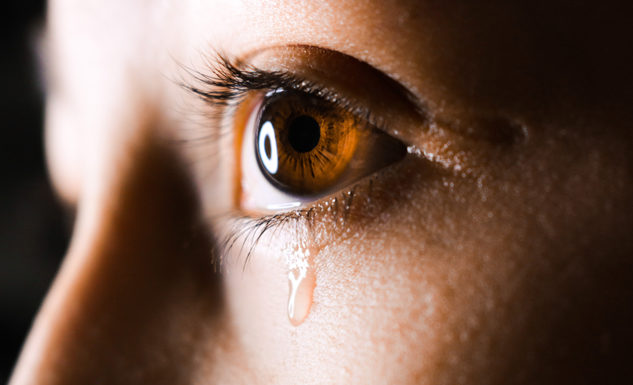 La società della violenza