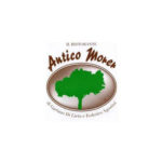 antico morer logo
