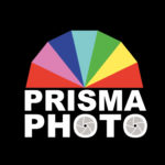 prisma photo logo