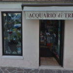 acquariotreviso foto