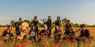 Viaggiatori Armonici