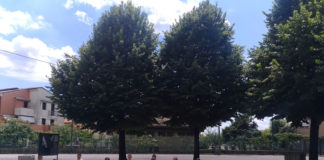 Io conto, tu vali, noi cambiamo