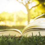 opened-book-grass-sunlight