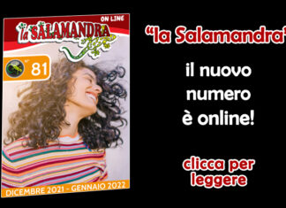 “la Salamandra” n.81