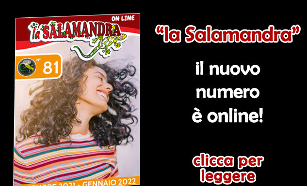 “la Salamandra” n.81