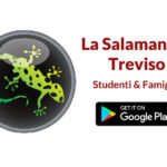 SalamandraApp