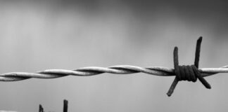 27 gennaio 1945: si può tornare ad essere felici?