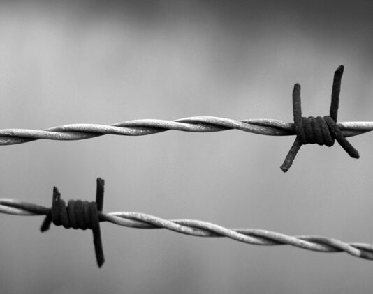 27 gennaio 1945: si può tornare ad essere felici?