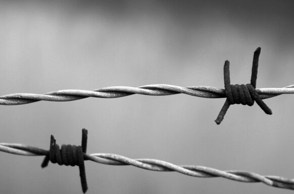 27 gennaio 1945: si può tornare ad essere felici?