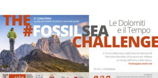 The Fossil Sea Challenge