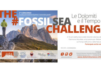 The Fossil Sea Challenge
