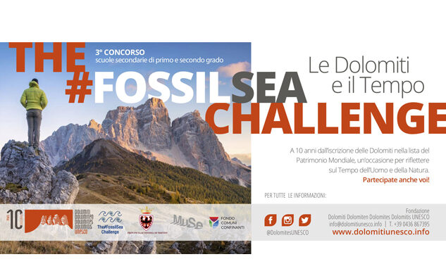 The Fossil Sea Challenge