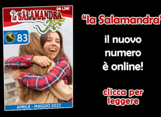 “la Salamandra” n.83