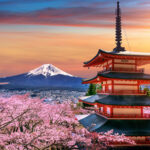 Cherry blossoms in spring, Chureito pagoda and Fuji mountain at