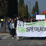 mogliano low
