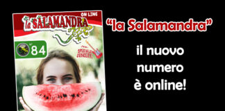 “la Salamandra” n.84