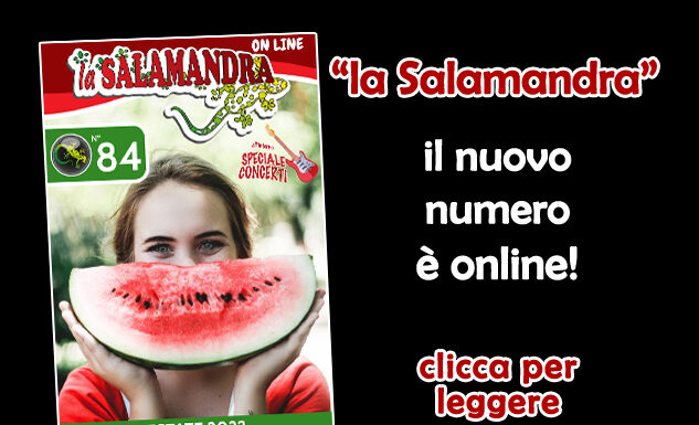 “la Salamandra” n.84