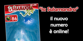 “la Salamandra” n.86