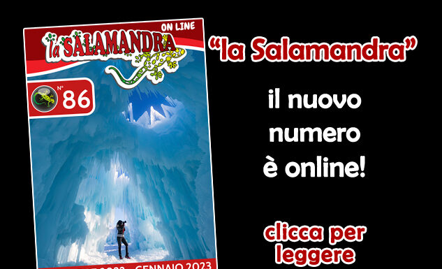 “la Salamandra” n.86