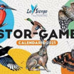 storgame