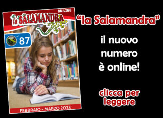 “la Salamandra” n.87