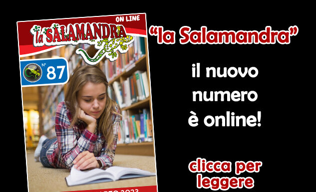 “la Salamandra” n.87
