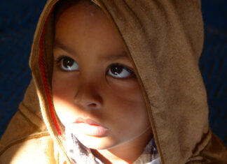 “Cose viste!”, incontro con le scuole