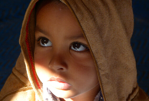 “Cose viste!”, incontro con le scuole